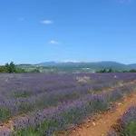Pie Des Ayrolis *