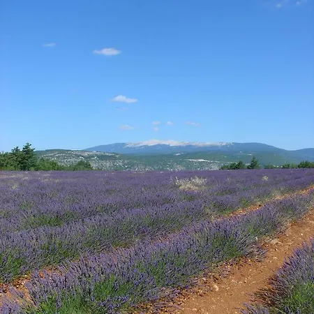 Pie Des Ayrolis *