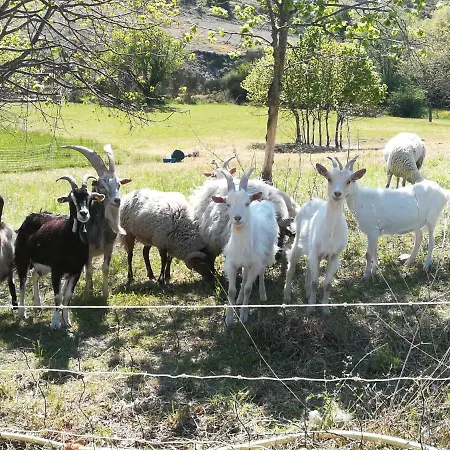 Nyaraló Pie Des Ayrolis *
