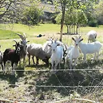 Сasa de vacaciones Pie Des Ayrolis *